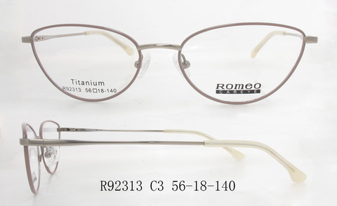 R92313