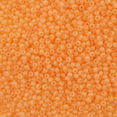 Бисер 10/0 PRECIOSA, 5 гр*10 уп