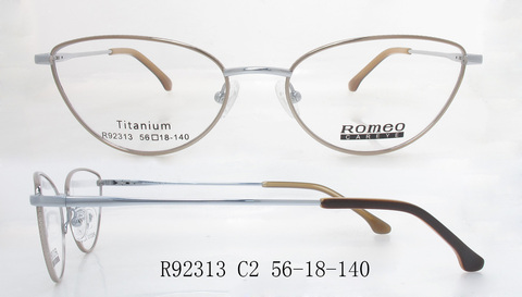 R92313
