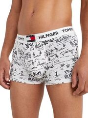 Боксерки Tommy Hilfiger Trunk Print 1P - greetings white