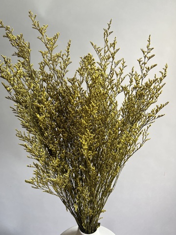 Кермек желтый