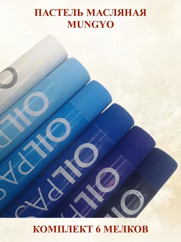 Пастель художественная масляная MUNGYO Oil Pastels Набор №5 (6шт)
