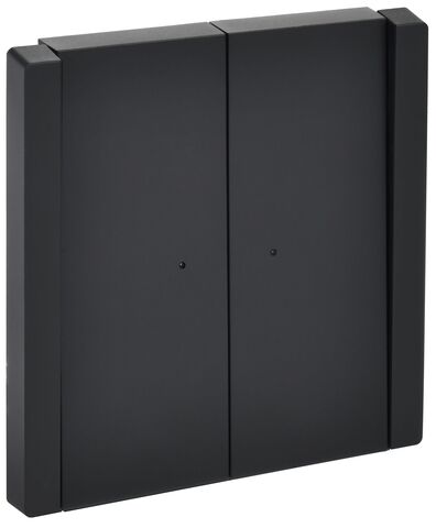 FORTE&PIANO Выключ. 2-кл. с инд. 10А FP106 чер. IEK