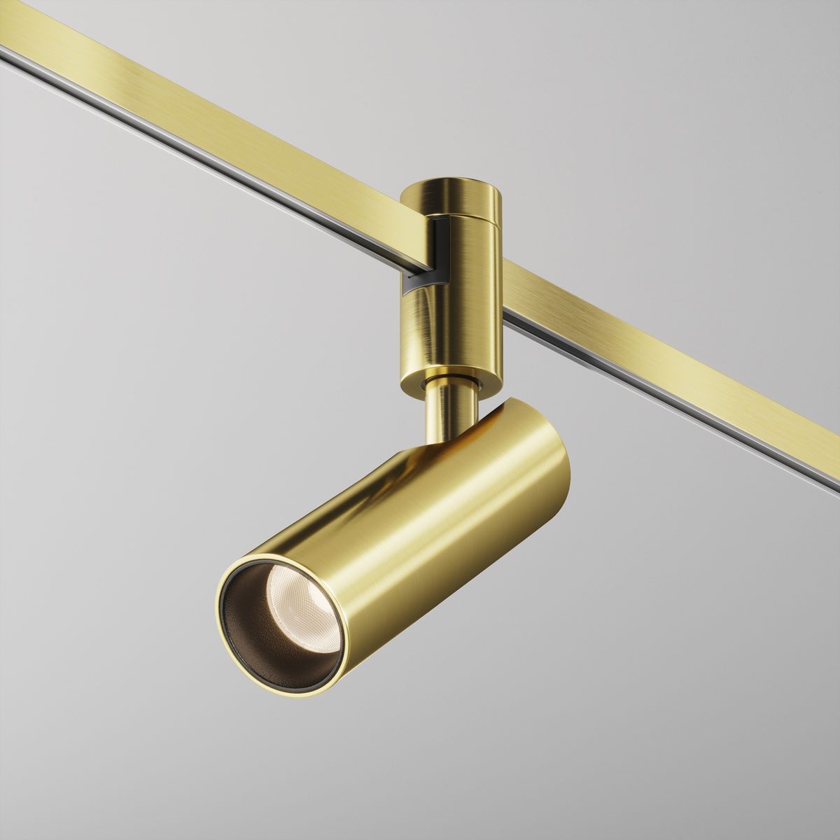 Трековый светильник Maytoni Technical Focus Led TR144-1-12W3K-W-BS