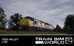 Train Sim World 2: Tees Valley Line: Darlington – Saltburn-by-the-Sea Route Add-On (для ПК, цифровой код доступа)