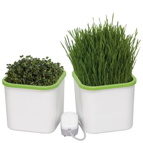 Проращиватель Здоровья Клад белый (2-х модульный)