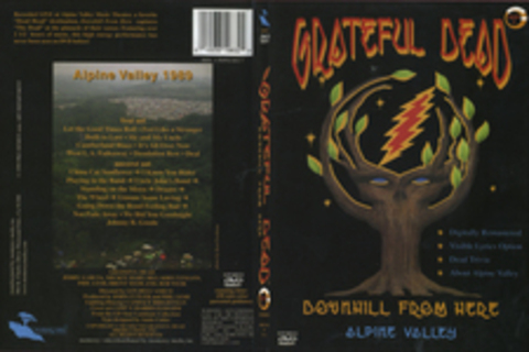 Grateful Dead: Downhill From Here (1989)