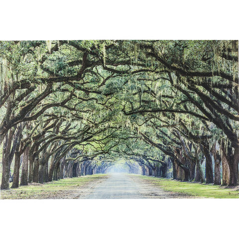 Картина Avenue of Trees, коллекция 