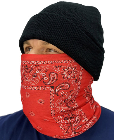 Картинка шарф-труба Skully Wear Tube fleece paisley S157 - 2