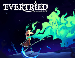 Evertried (для ПК, цифровой код доступа)