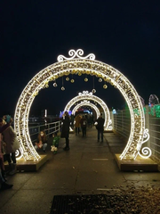 Световая арка с вензелями Световая арка с вензелями