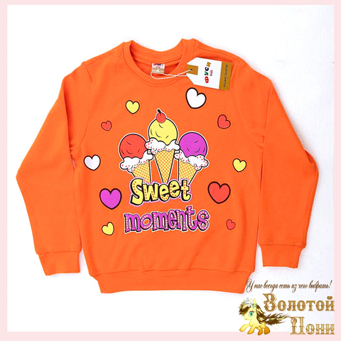 Свитшот хлопок д (1-4) 251031-FU114