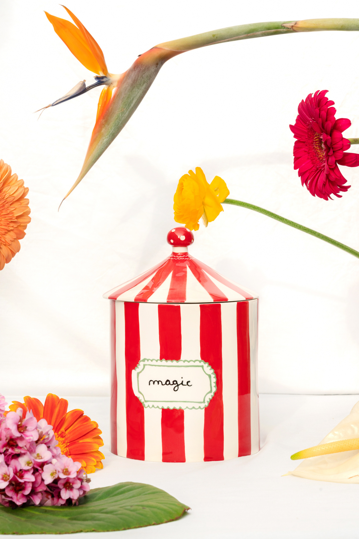 Керамическая шкатулка Magic Box