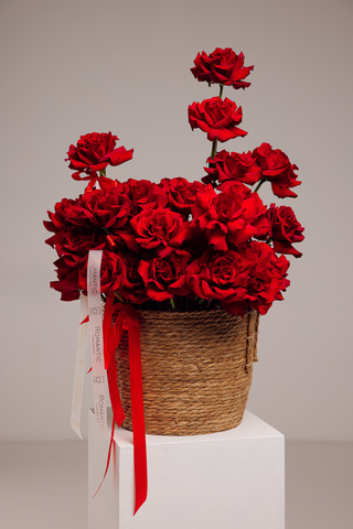 «Мечты о Париже»