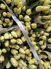 Охапка тюльпаны классика - лимонный цвет 25 шт