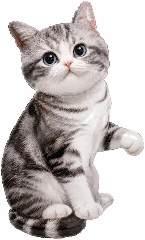 Шар К Фигура, Котенок, Серый, 42''/107 см, 1 шт.