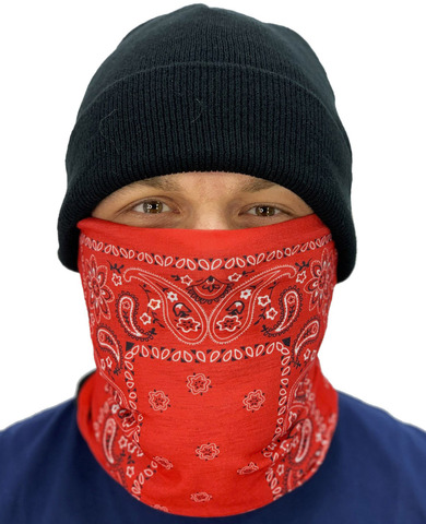 Картинка шарф-труба Skully Wear Tube fleece paisley S157 - 1