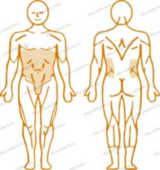 Комплекс пневматических реабилитационных тренажеров: Abdominal (Абдоминальный)