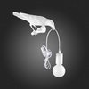 Светильник настенный Evoluce Gavi SLE115301-01