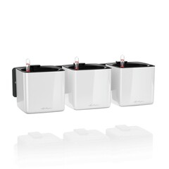 Комплект "Green Wall Home Kit Glossy" белый блестящий, с системой автополива (Lechuza)