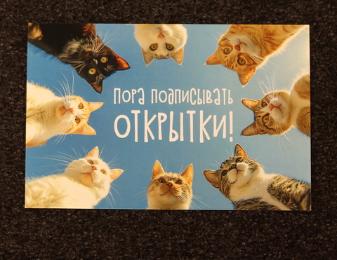 Пора подписывать открытки!