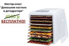 Дегидратор (сушилка) RawMID Dream Vitamin DDV-10 белый