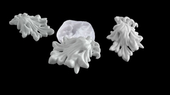 Силиконовый молд Лист винограда