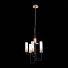 Люстра подвесная ST Luce Delavera SL336.303.05
