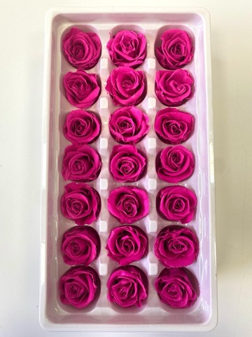 Роза 2-3 см класса 