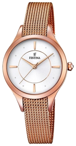 Наручные часы Festina F16960/1 фото