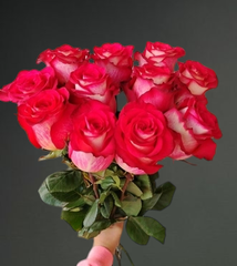 11 роз Игуазу