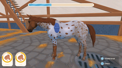 My Life: Riding Stables 3 (для ПК, цифровой код доступа)