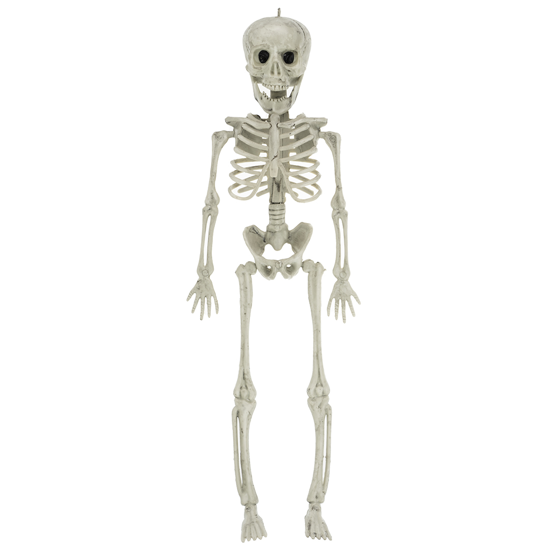 Скелет пластик, 40 см, 1 шт.