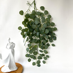 Эвкалипт свисающий, ампельное растение, цвет патина, 94 см, набор 1 шт.