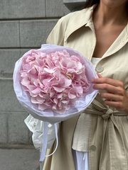 Букет моно из гортензии в розовом оттенке