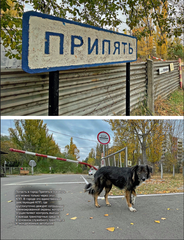 Чернобыль. Постапокалиптический мир