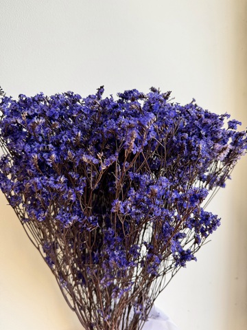 Лимониум Чернильный