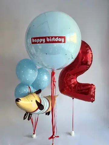 Шары для детей №205