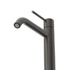 Cezares RELAX-LC1-GM-W0 RELAX-LC1-GM-W0 Смеситель для накладной раковины однорычажный без донного клапана, оружейная сталь