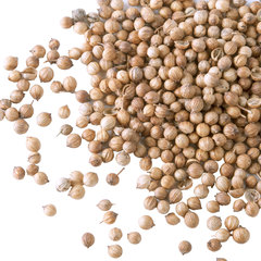 Семена кориандра, 100 г / Bharat Bazaar