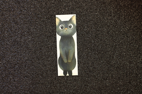 Черный котик