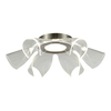 Светильник потолочный ST Luce Fairy SL6235.102.20
