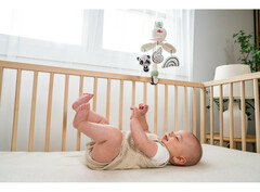 Tiny Love Мобиль-подвеска День и ночь 2 в 1 (3333130811)