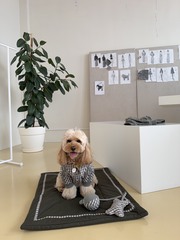 ИГРУШКА-МЯЧ 