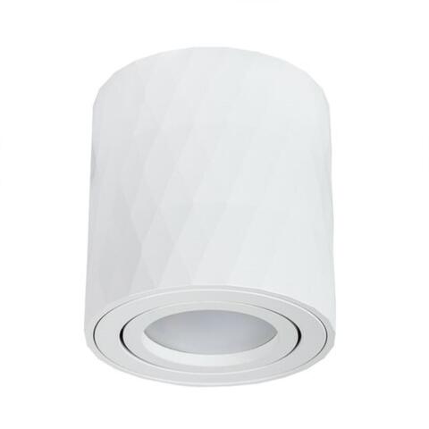 Накладной светильник Arte Lamp FANG A5559PL-1WH