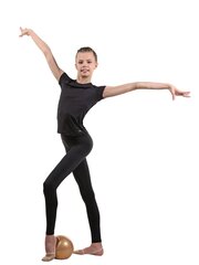 RG650-35 Футболка с коротким рукавом 