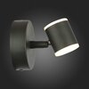 Светильник настенный ST Luce Formolla SL1597.401.01
