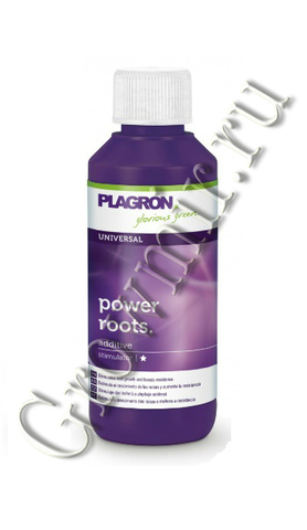 Plagron Power Roots 100 ml