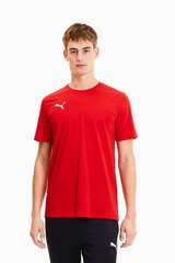 Футболка Puma teamGoal 23