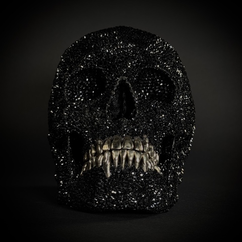 Череп человека в стразах